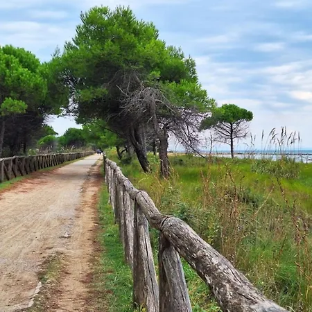 Flat Just Few Steps From The Apartment